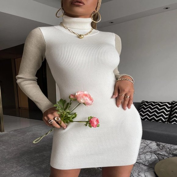 Rib-Knit Turtleneck Mini Sweater Dress - Picture 4 of 4